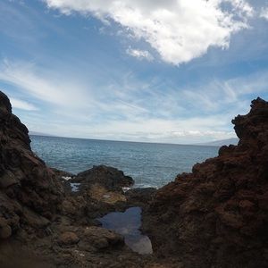 Meet your Posher, Genevieve